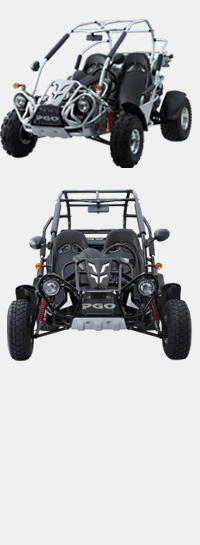 200_bugrider250ds